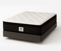 Hilton Hotel Spectra Mattress
