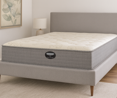 Vion Plush Mattress